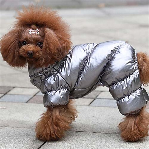 Hund Katze Mäntel Jacke Mode Niedlich Winter Atmungsaktiv Weich Waschbar Bequem Outdoor Alltagstauglich Hundebekleidung for Bichon Frise Chihuahua Zwergspitz Baby Haustier Papillon Image