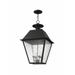 4 Light Outdoor Pendant Lantern in Coastal Style 15 inches Wide By 24.5 inches High-Black Finish Bailey Street Home 218-Bel-1119614
