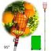 Fruit Picker with Pole Basket Apple Picker Telescoping Long Handle Adjustable Gardening Yard Tool 35-95 Inch