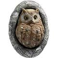 Dsseng Cartoon Fake Owl Tree Decoration Scarecrow Sculpture owl Outdoor Garden Pendant Suitable for Branches Eaves Decoration Garden Protectors Outdoor Garden Yard Decoy Bird