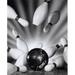 Close-Up of A Bowling Ball Hitting Bowling Pins Poster Print - 18 x 24