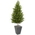 Silk Plant Nearly Natural 67 Olive Cone Topiary Artificial Tree in Slate Planter UV Resistant (Indoor/Outdoor)