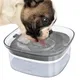 Filles d'eau transparent pour chiens et chats grande capacité distributeur de nourriture pour