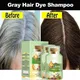 Gray Hair Dye Shampoo Natural Plant Bubble Hair Dye Gray White to Black Long Lasting Coloring