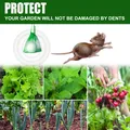 Keep Mice Out For House Peppermint Oil For Mice And Rats Mouse Squirrel For Home Garages RV