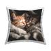 Stupell Cuddling Kittens Sleeping Design by Roozbeh