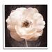 Stupell Industries Pink Flower Photography Framed On Wood by Christine Zalewski Wood in Brown | 12 H x 12 W x 1.5 D in | Wayfair az-417_wfr_12x12