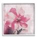 Stupell Industries Az-435-Framed Vintage Lily Print Canvas in Pink | 17 H x 17 W x 1.5 D in | Wayfair az-435_wfr_17x17