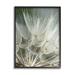 Stupell Industries Az-398-Framed Soft Dandelion Print Canvas in Gray | 30 H x 24 W x 1.5 D in | Wayfair az-398_fr_24x30