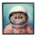 Stupell Industries Az-132-Framed Astronaut Cat In Space by Roozbeh Canvas in Blue | 24 H x 24 W x 1.5 D in | Wayfair az-132_fr_24x24