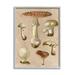Stupell Industries Bb-067-Framed Vintage Neutral Mushrooms Framed On Wood by Lil' Rue Print Wood in Brown/White | 20 H x 16 W x 1.5 D in | Wayfair