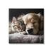 Ebern Designs Cat & Dog Photography On Canvas by Roozbeh Print Canvas in Brown/Gray | 30 H x 30 W x 1.5 D in | Wayfair