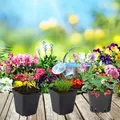 Pots de semis en plastique créatifs avec trous de proximité pots de fleurs pour plantes kit de