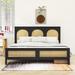 Bay Isle Home™ Fortner Platform Storage Bed Wood in Black | 45.7 H x 63 W x 85.4 D in | Wayfair 6F9C5BC47F874A2B84E1B3CB91262595