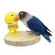 Pet Bird Toys Natural Wood Perch Standing Round Platform with Cute Yellow Spring Chicken Toys