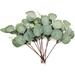 12 Pcs Eucalyptus Artificial Flowers Plastic Eucalyptus Stem Leaves Branches Decorative Faux Fake Green Eucalyptus Bouquets Foliages Plants for Wedding Garden Home Outdoor Indoor Decoration