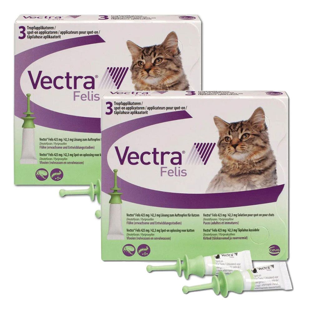 Vectra Felis 423/42.3 Katz Doppelpack 2x3 St Lösung Image