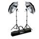 Ex-Pro Continuous Dual [2 units] Photography Lighting kit including 65w (Eqiv 280w), stands, brackets & Umbrella - Black & Silver