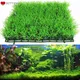 Aquarium Ornaments Artificial Water Plastic Green Grass Plant Lawn Aquatic Aquarium Fish Tank Decor