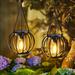 LETMY Solar Garden Lanterns Waterproof, Led Hanging Lanterns Solar Powered w/ Handle | 12.5 H x 5.11 W in | Wayfair HG00188_02