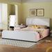 Latitude Run® PU Platform Bed Wood & /Upholstered/Faux leather in Pink | 35.4 H x 72.4 D in | Wayfair EB048237DD5B45FD991B355F2199DDC2