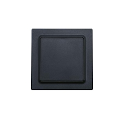 Eltako Funktaster F2T55E-am 30055718 Image