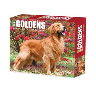 Goldens 2023 Box Calendar