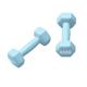 Dumbells Dumbbell Fitness Home Arm Muscle Dumbbell Cast Iron Solid Dumbbell Dipped Hexagonal Dumbbell For Men And Women Dumbell Set (Color : Blue, Size : A)