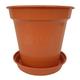 Elixir Gardens Glossy Plastic Terracotta Plant Pot with Saucer Various Sizes 3,4,5,6,7,8,10,12.5,15" Various Quantities 1-50 | 8" x 10