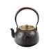 Cast Iron Tea Kettle Japanese Cast Iron Teapot for Tea and Teabags Tea Kettle Stovetop Safe Teapots (Color : Black, Size : 1200ml) (Black 1200ml)