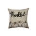 14" X 14" Beige and White Thanksgiving Pumpkin Linen Blend Zippered Pillow With Applique