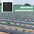 Agriculture Mulch Pre-punched Hole Plastic Film Plants Film Perforated Mulch Anti Grass Home Garden