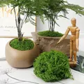 Artificial Plants Eternal Life Green Moss Grass Home Room Garden Decoration Mini Landscape Fake