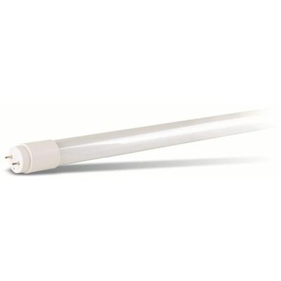 Müller-Licht led eek: f (a - g) G13 Röhrenform 9 w Kaltweiß (ø x l) 28 mm x 600 mm 1 St.