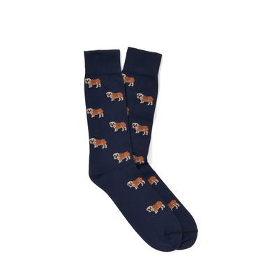 J.McLaughlin Men's Bulldog Socks Navy/Tan/White | Cotton/Nylon/Spandex