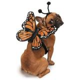 Zack & Zoey ZZ Butterfly Glow Harness Costume XL