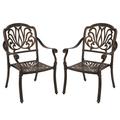 TPHORK Outdoor Cast Aluminum Patio Chairs Set of 2 All-Weather Patio Dining Chairs with Adjustable Feet Patio Seating for Balcony Backyard Deck Garden