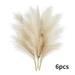 Baywell 6pcs Dried Pampas Grass - 45cm/18in - Premium Natural Dried Pampas Grass for Home Decor A Great Decorative - Dried Grass for Boho Vase Fillers Or Bouquet Decorations