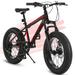 Arnahaishe Kids Bike 20 Inch Fat Tire Mountain Bike 7 Speed Carbon Steel Frame Double Disc Brake and Front Suspension Bicycle