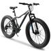 26 Inch Fat Tires Mountain Bike 4-Inch Wide Wheel Snow Mountain Bikes 21-Speed Carbon Steel Frame Front Fork Men Women Bicycles(Gray)