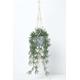 Artificial Hanging Basket Green Rhipsalis Plant, 116 cm