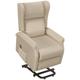 Riser and Recliner Chair Electric Reclining Chair with Remote Control