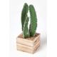 Artificial Cactus Plant In Wooden Pot, 33 cm Tall