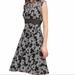 Anthropologie Dresses | Anthropologie Moulinette Soeurs Sommer Dress In Black And White Size 4 Nwt | Color: Black/White | Size: 4