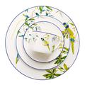 36 PCS Fine Bone China Dinnerware Set for 6, Parrot Porcelain Dinner Set, Service for 6, Kitchen Dinnerware Sets Crockery Set, Round Ceramica Tableware with Bowls Dinner Plates COF