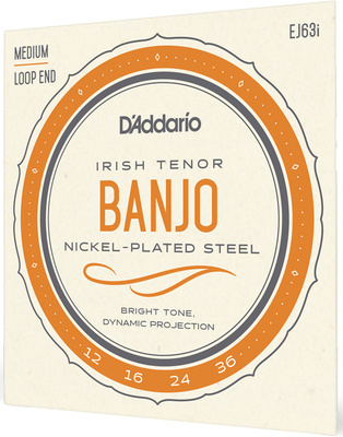 Daddario EJ63i Irish Tenor Banjo Set