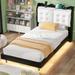 Twin Upholstery Platform Bed with LED Light Strips, Wood Bed Frame w/Storage Headboard & 2 USB Charging for Small Space, Black