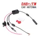 DAB+FM+Car Stereo Antenna Aerial Splitter Cable Adapter 12V Radio Signal Amplifier Antenna Signal