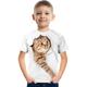 Kinder Jungen T-Shirt T-Shirt Kurzarm Katze Dinosaurier Grafik 3D-Druck Tier Schule Kinder Tops aktive weiße Katze hellweiße weiße Katze