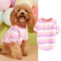 Autumn And Winter Plush Warm Pet Clothes Soft And Comfortable Round Neck Striped Rainbow Color Pullover Two Legged Dog Plush Jacket